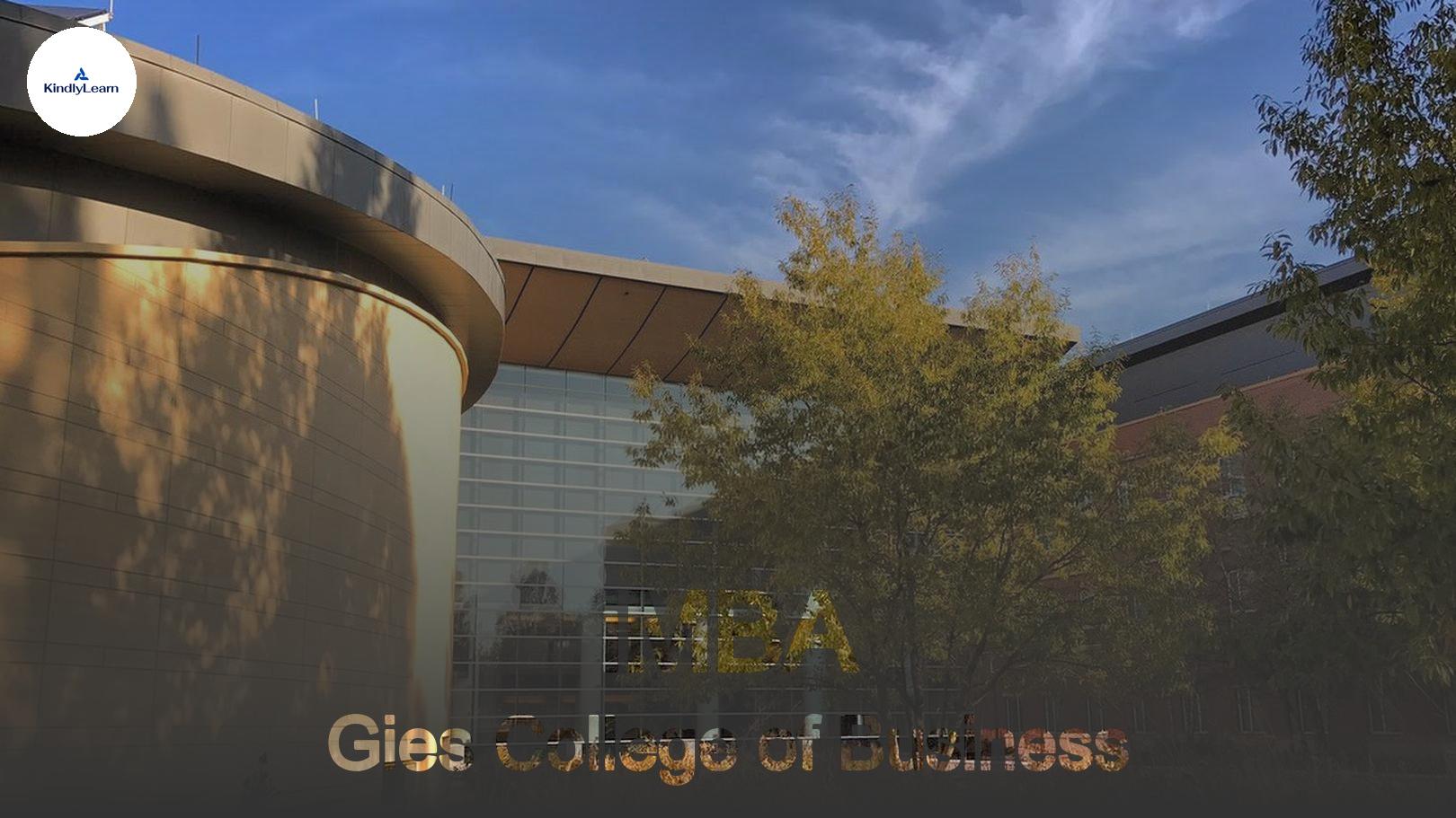 gies online mba program