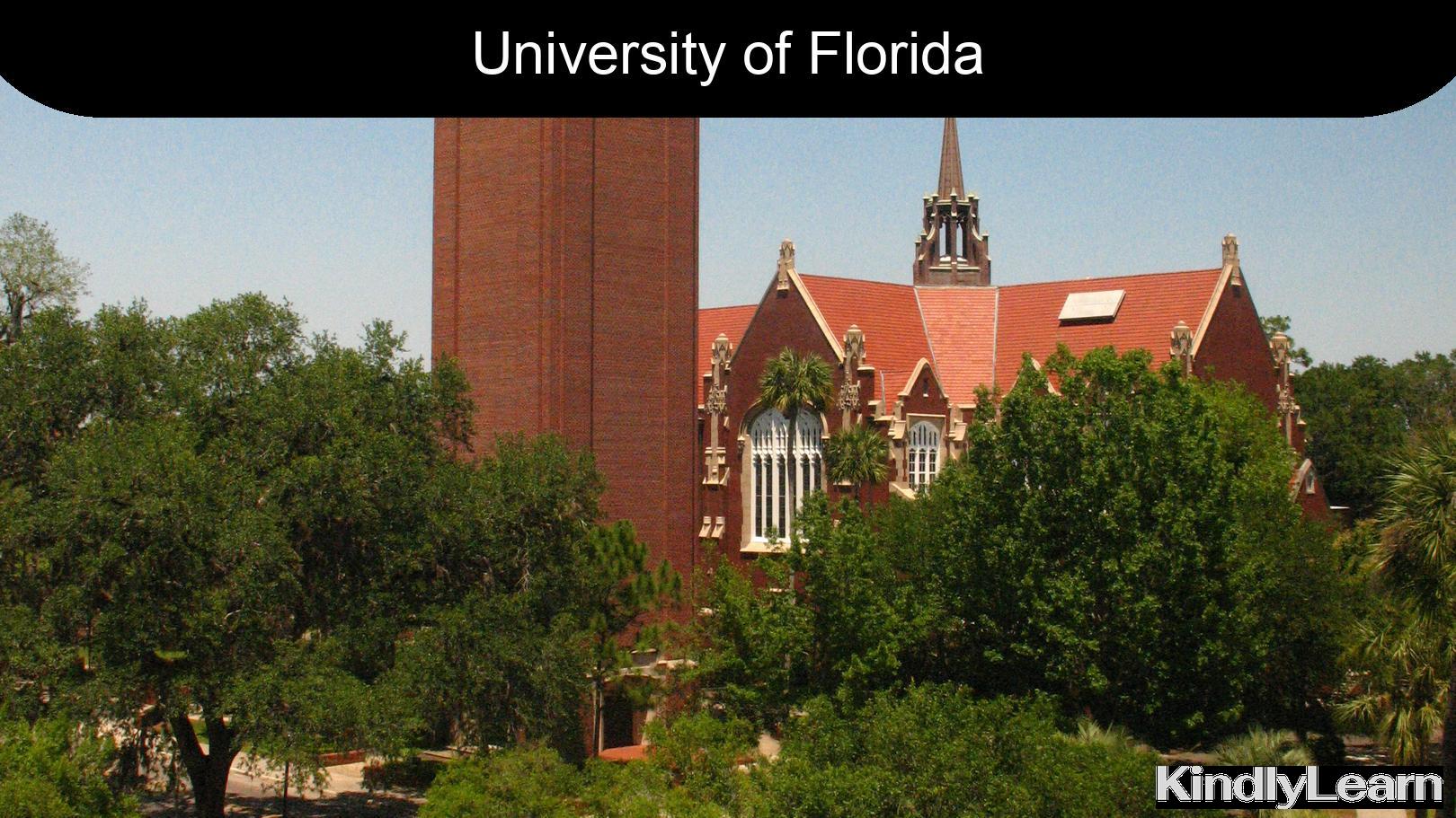 university of florida